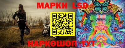индика Бийск