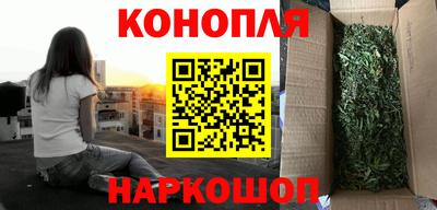 индика Бийск