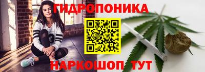 индика Бийск