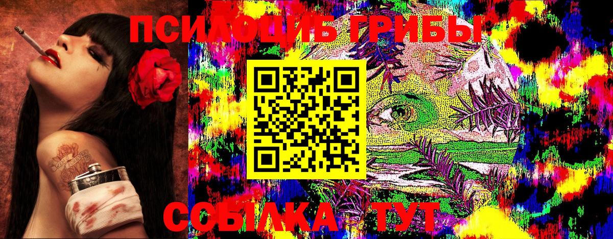 Псилоцибиновые грибы мицелий  Вход с VPN  Кашира  как найти закладки  Галлюциногенные грибы Magic Shrooms 